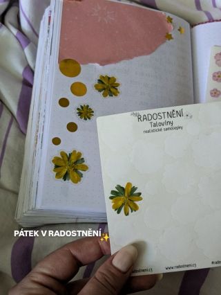 • jeden pátek v Radostnění 👇🏼 01 naše samolepky Talovíny 02 ranní chvilka čtení, návyk k nezaplacení 03 getting chunky...